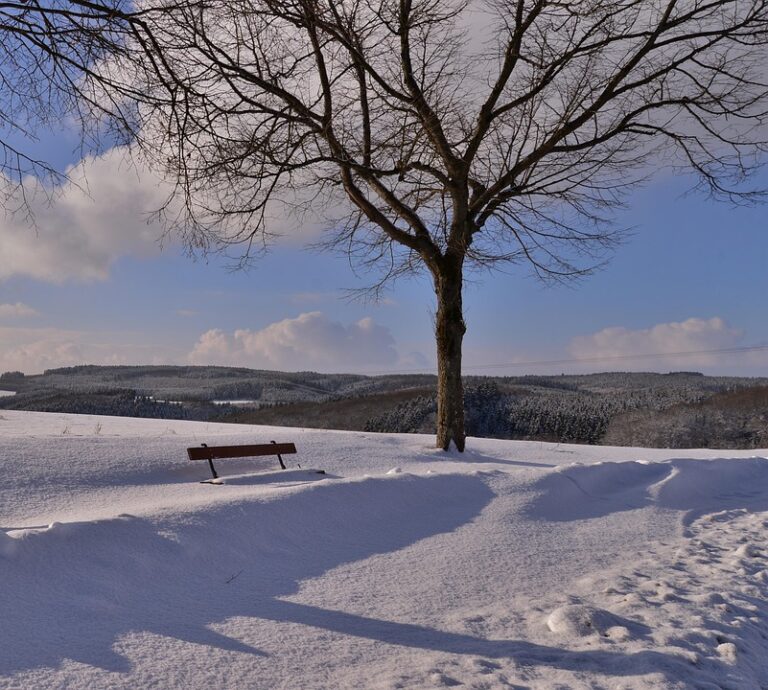 How Luxembourg Mastered the Challenge of a Unified EU Market