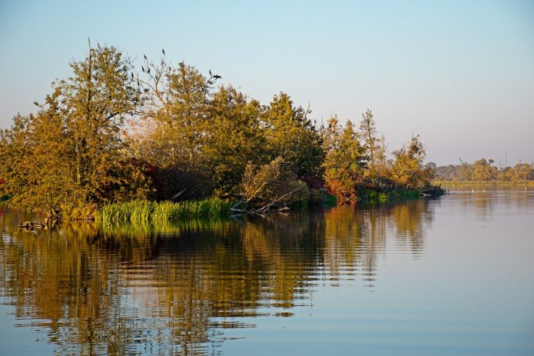 Poland’s Government Needs to Double Down on the Three Seas Initiative – Visegrad Insight