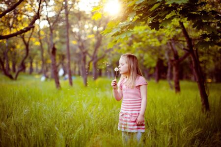 Ukraine-Russia Peace Talks Collapse as Zelensky Accuses Moscow of Deliberate Delay