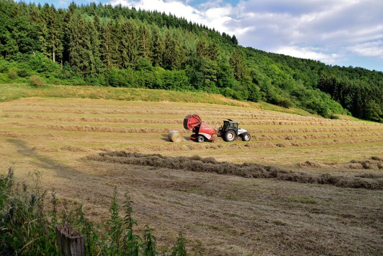 Get Ready for the Excitement: Your Ultimate Preview of the Luxembourg Song Contest