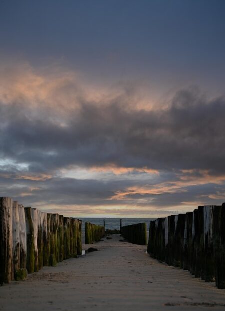 How the Founders of Capitalism Are Undermining Their Own Creation