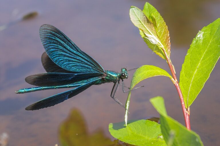 Estonia Welcomes the Possibility of Hosting NATO Nuclear Weapons