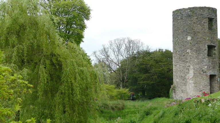 Ireland and the United Nations: Essential Insights You Shouldn’t Miss