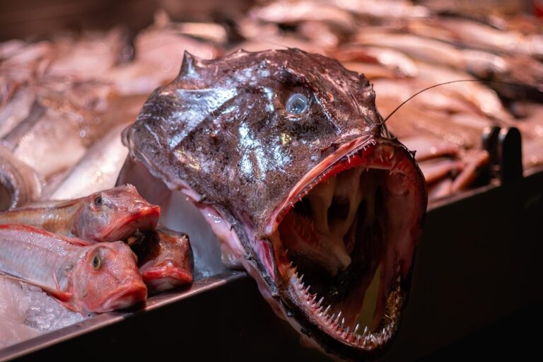 Ireland Unveils Long-Term Income Support for Artists, While Early Participants Face Uncertainty