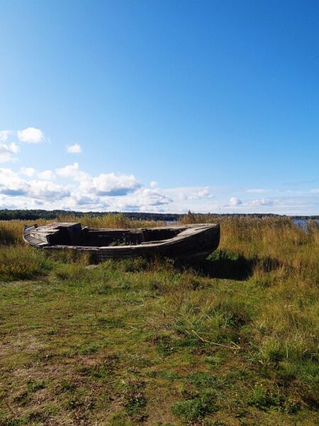 The Bear in the Baltics: Rethinking the Russian Threat to Estonia