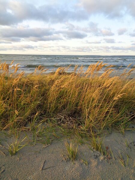 Yes, Your US Driver’s License Works in Estonia-Here’s Why You Still Need an IDP