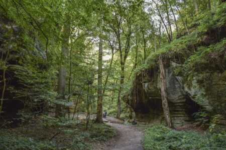 Europe’s Tourism Boom: Netherlands, Italy, UK, and More See Record Growth and Soaring Arrivals Ahead of 2025