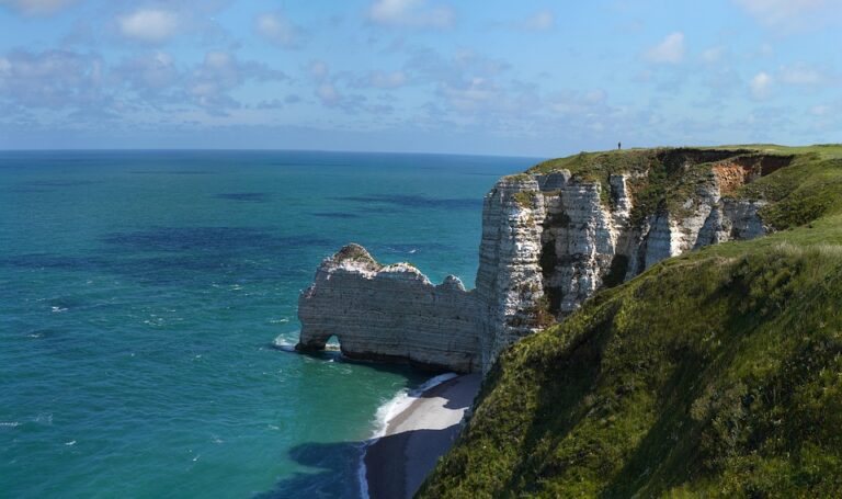 Eutelsat Boosts Revenue Amid Ambitious Starlink Expansion