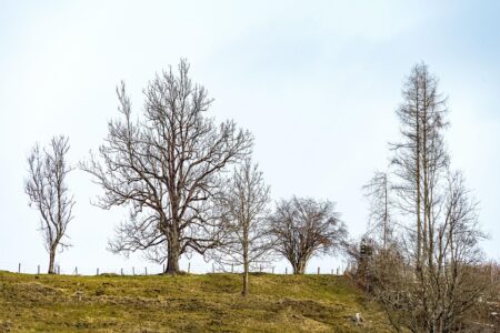 London’s Mondra Secures €11.8 Million Series A and Joins Forces with Austrian Sustainability Innovator inoqo