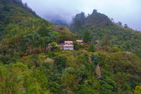 Portugal Triumphs in Champions League Showdown