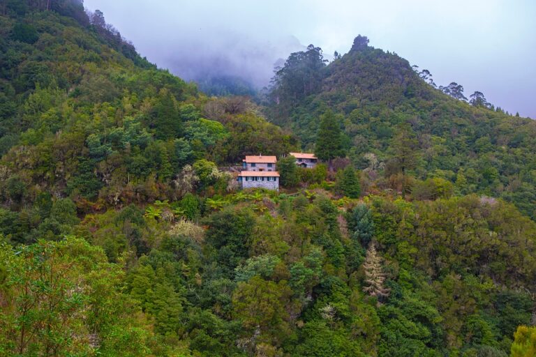 Portugal Triumphs in Champions League Showdown