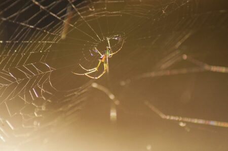 ‘Armenian Apostolic Church does not serve foreign powers’: bishops meet in Austria – JAMnews