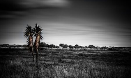 Ireland’s largest private landlord told investors new rent rules could lift income by 25% – MSN