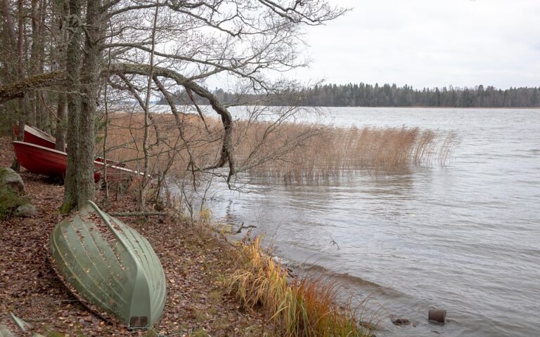 Zhao Leji Holds Key Meeting with Finnish Prime Minister Petteri Orpo