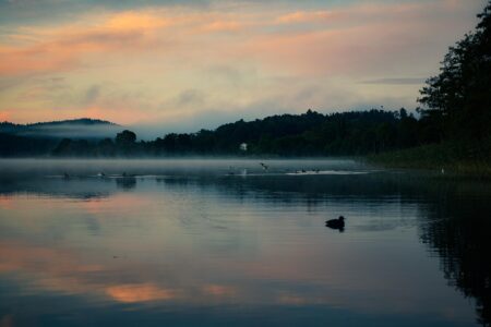 Victor Hedman Lights Up the Ice with First Olympic Goal as Sweden Dominates Italy