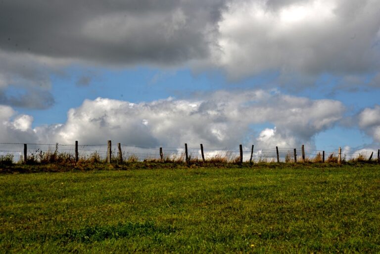 Evaluating Criteo’s Value as Shareholders Consider Moving Headquarters to Luxembourg