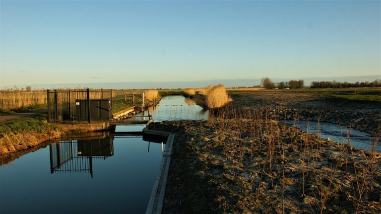 Court Orders the Netherlands to Protect a Caribbean Island From Climate Change – The New York Times