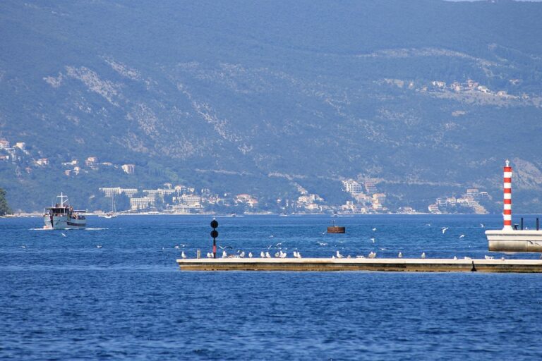 Sekulić: Montenegro Gears Up for the Hydrogen Energy Revolution