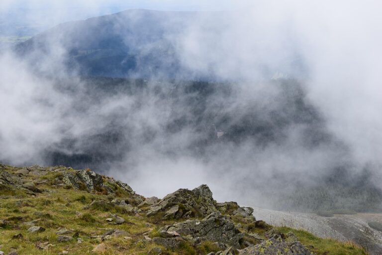 Grateful to Czech Colleague Petr Macinka and the Government of the Czech Republic for Allocating 10 Million Crowns to Provide Generators for Dnipropetrovsk Region