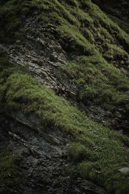 Exploring Slovenia: Capturing the Vibrant Recording Culture of Eastern Europe