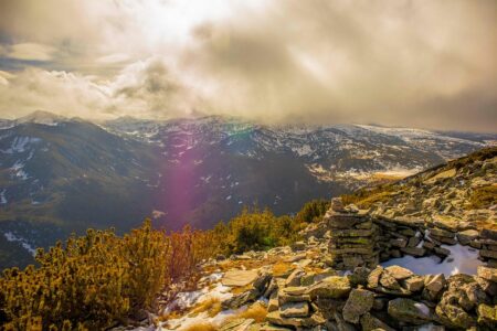 Leadership Change at Gebrüder Weiss Bulgaria: Marieta Grigorova Passes the Torch to Lyudmil Elshishki