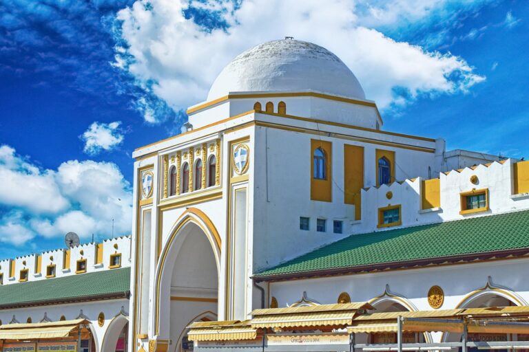 From USA to Greece: AJ Ginnis Bids Farewell on the Olympic Stage After a Legendary Slalom Career