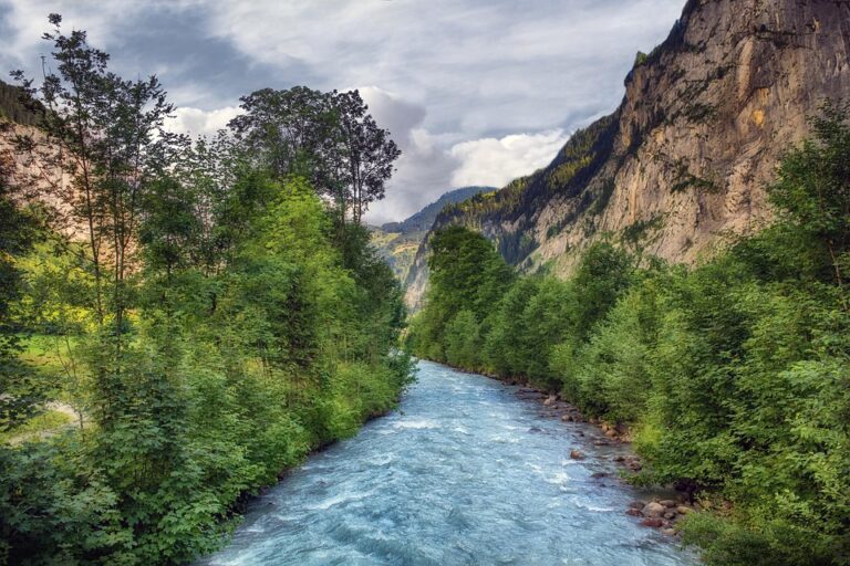 Thrilling Showdown: Switzerland Edges Out Korea 7-5 in Women’s Curling