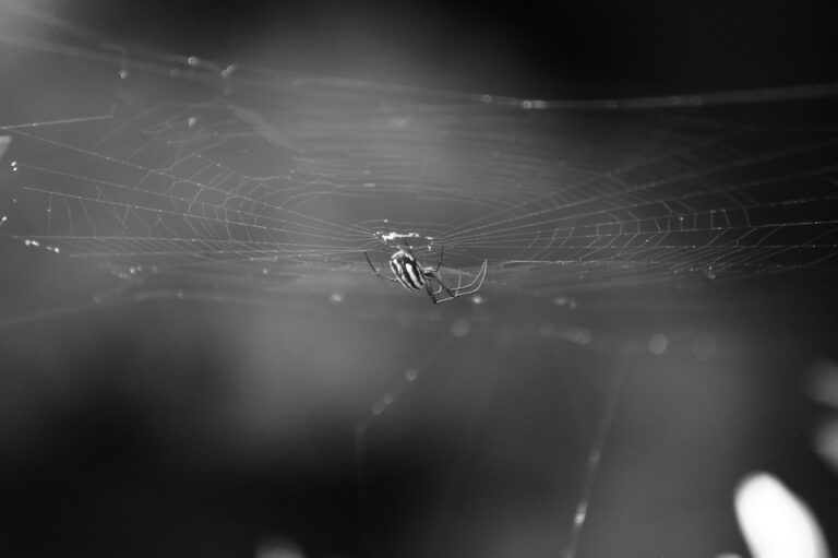 Assessing Wastewater Treatment Infrastructure in Armenia, Moldova, and Ukraine: Key National Insights