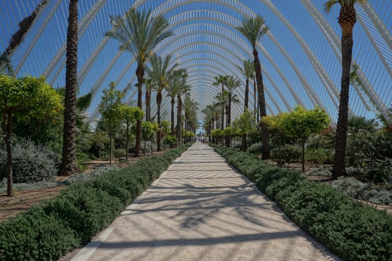 Stunning Lightweight Timber House in Spain Weaves Three Elevated Volumes Amidst Tree Canopy