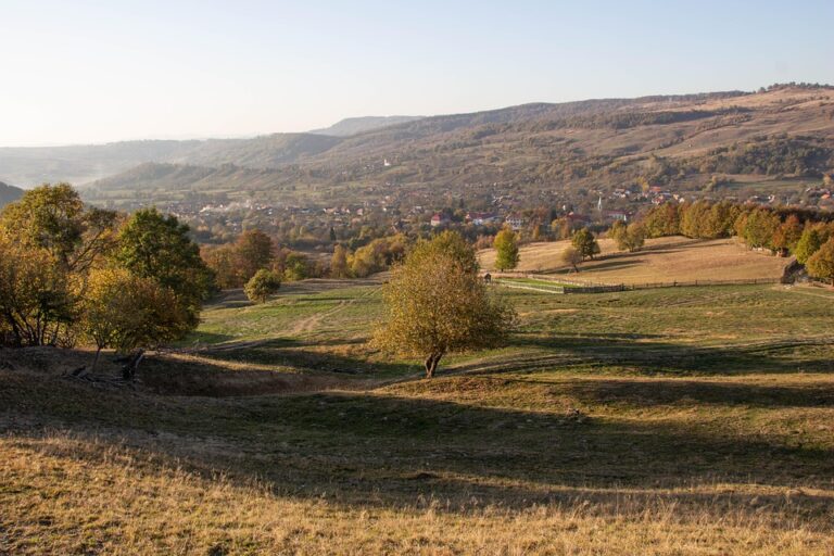 Romania Urges NATO to Strengthen Black Sea Mission