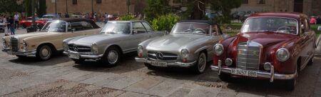 Giant Great White Shark Caught in Spain Triggers 160-Year Historical Review