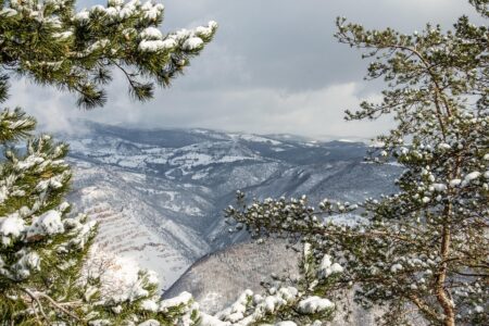Tragic Nursing Home Fire in Bosnia and Herzegovina Claims Multiple Lives