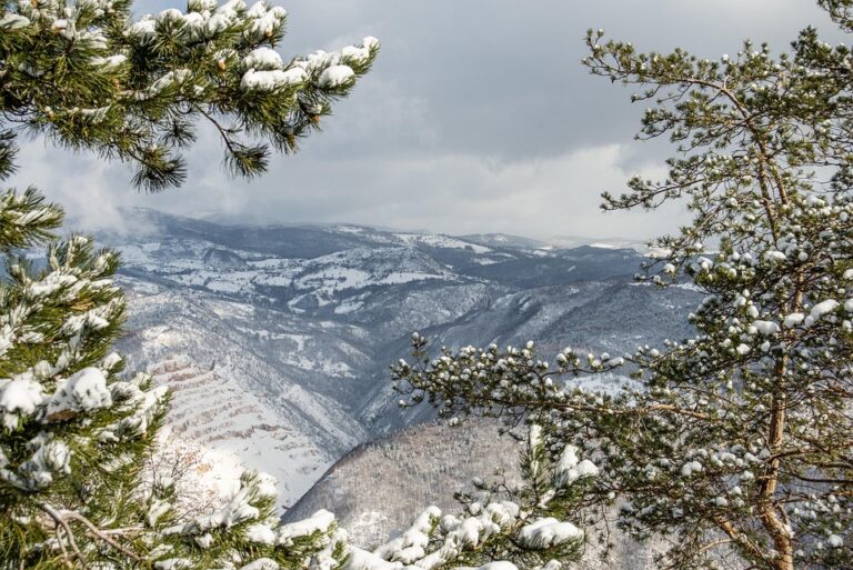 Tragic Nursing Home Fire in Bosnia and Herzegovina Claims Multiple Lives