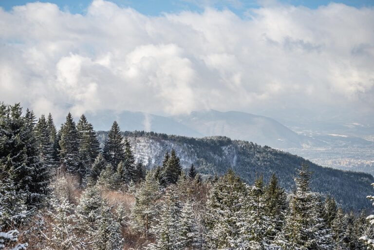 Powerful 4.6 Magnitude Earthquake Strikes Near Bugojno, Bosnia and Herzegovina