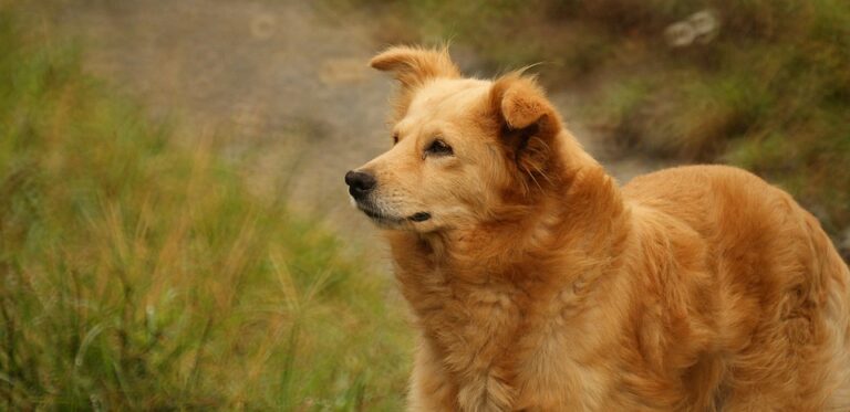 Armenia Takes the Spotlight at the 80th General Debate Session