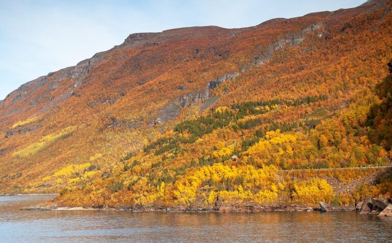 Norway Boosts Defense Budget but Delays Air Defense and Helicopter Acquisitions