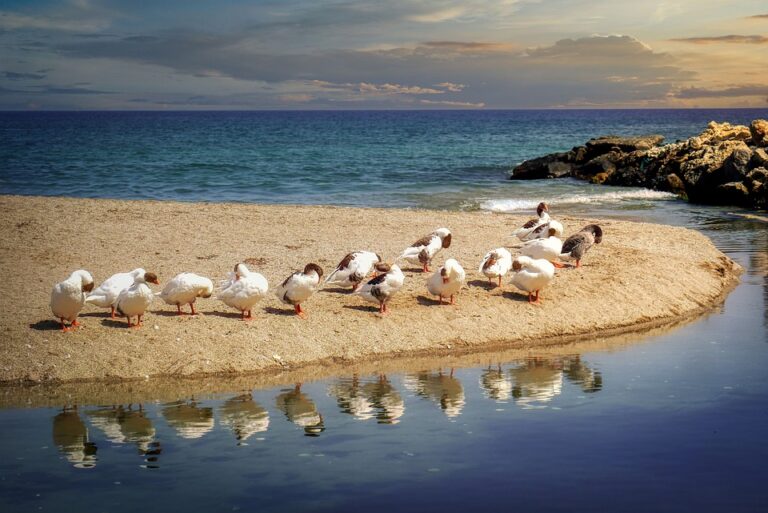 US Strategic Shift: Why Greece Replaced Turkey in Trump’s Foreign Policy