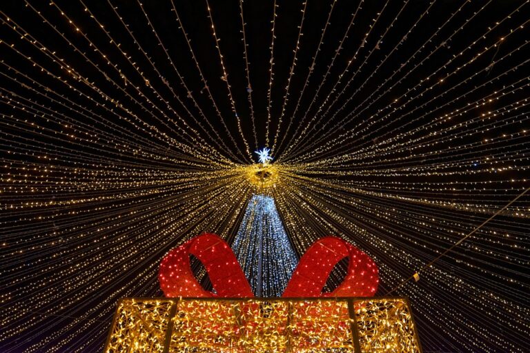 Switzerland Joins Romania, Germany, Iceland, Italy, Estonia, France, And More Than Thirty-Three Countries In Europe In Adjusting As Canada Introduces New Rules On Super Visa Applications – Travel And Tour World