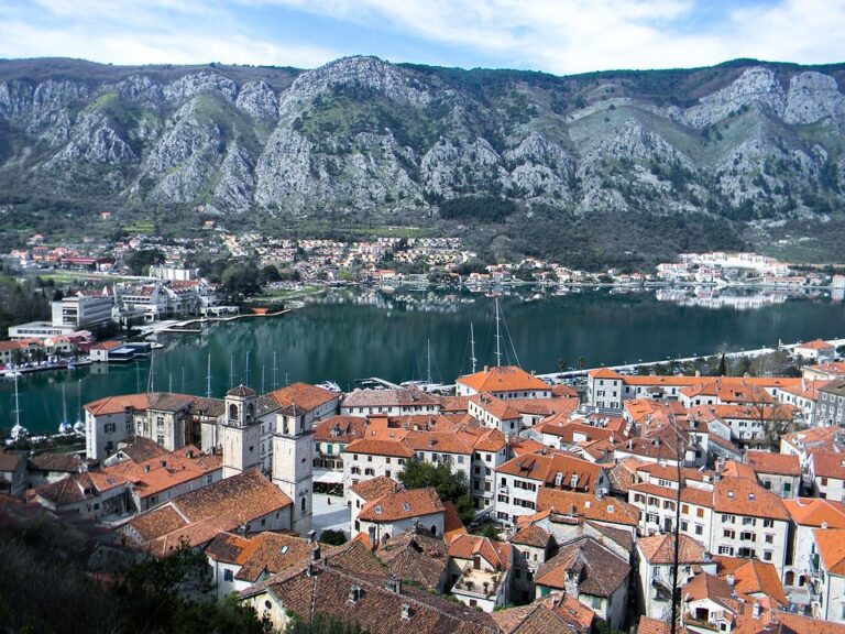 This Year Will Determine Montenegro’s Future in the EU