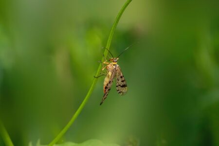 Lockheed Martin to Launch Advanced HIMARS Maintenance Center in Estonia