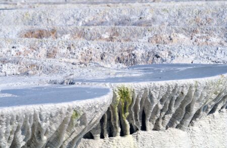 Hungarian NGO Challenges Putin’s Former Interpreter Leading OSCE Election Mission