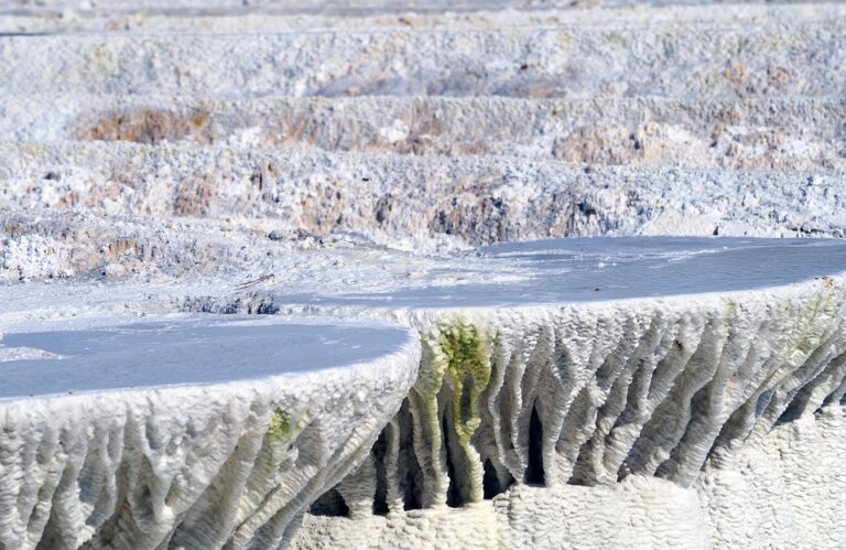 Hungarian NGO Challenges Putin’s Former Interpreter Leading OSCE Election Mission