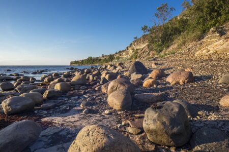 Rising Childhood Obesity in Estonia: Health Concerns Begin as Early as Kindergarten