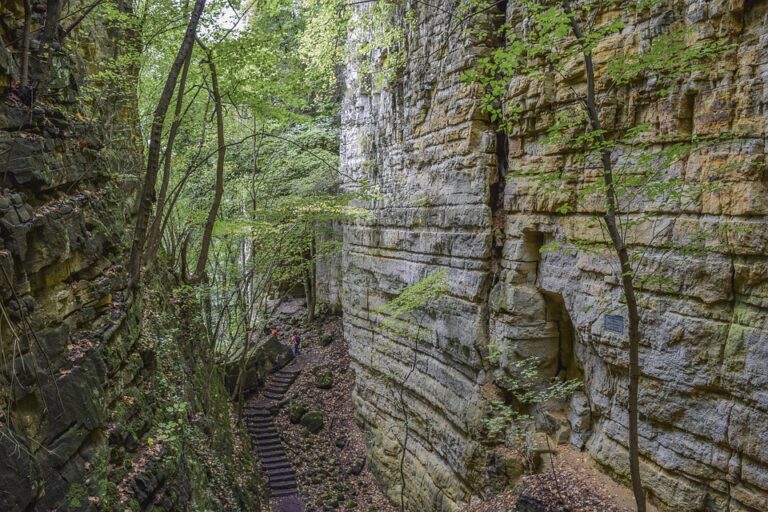 Luxembourg Unveils 40 Bold Measures to Combat ‘Forever Pollutants