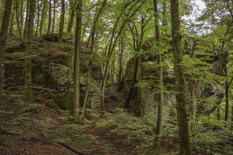 Meet Deputy Chief of Mission Lewis Gitter: Leading U.S. Diplomacy in Luxembourg