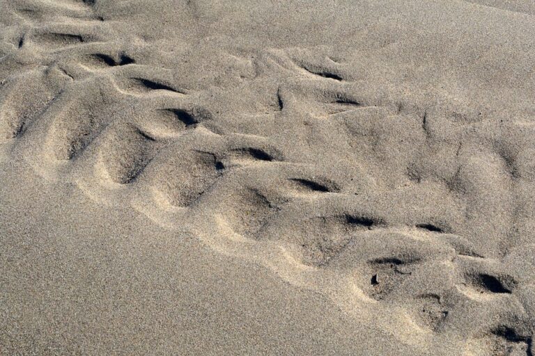 Hungary’s Orban Stalls Ukraine Loan Approval at EU Summit