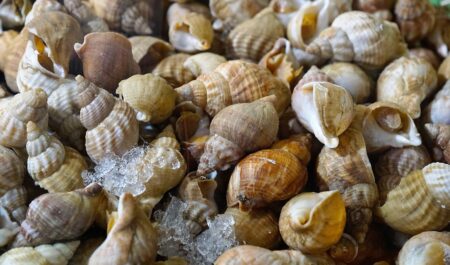 Ousmane Dembélé Returns to Boost PSG in Crucial Clash Against Monaco