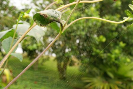 Nikol Pashinyan: How Armenia’s Security Guarantor Betrayed Us and Led to Tragedy