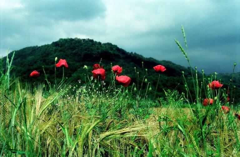 Slovenia’s Largest Indoor LED Wall Lights Up Ljubljana Exhibition & Convention Centre