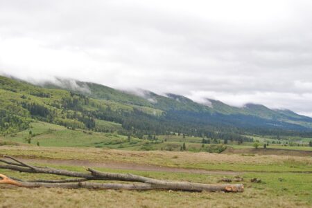 Inside the Russia-Ukraine War: Latest Updates and Developments